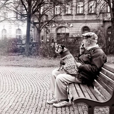 Park View Apartment Prag